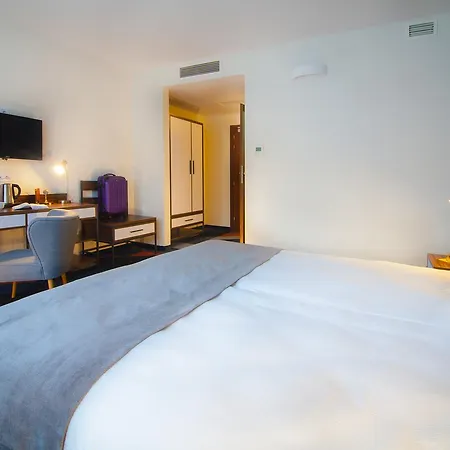 Vulcan Hotel 3*